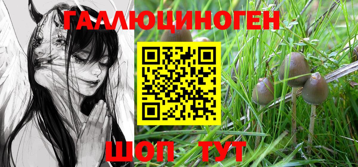 Галлюциногенные грибы мухоморы Качканар