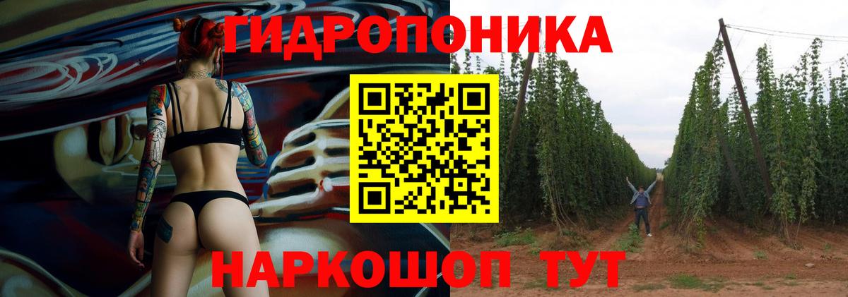 Конопля семена  Шишки марихуана ГИДРОПОН  Вход с VPN  Качканар 